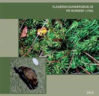 Flagermusundersøgelse på Horreby Lyng 2014