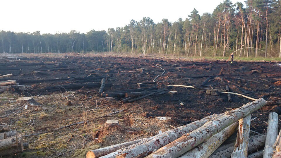 Område i Horreby Lyng efter brand