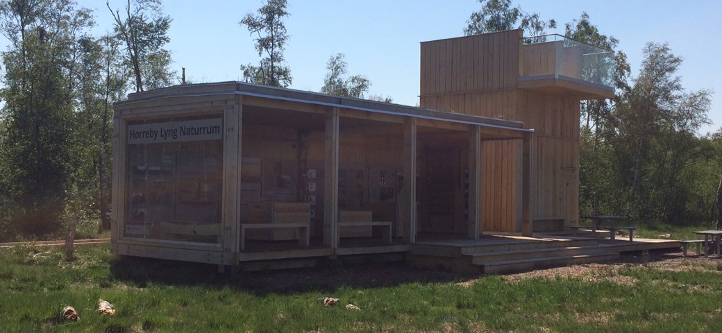 Naturrummet i Horreby Lyng
