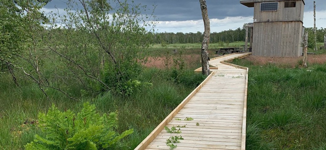 Handicaprampe i Horreby Lyng ved naturrummet