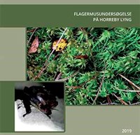 Flagermusundersøgelse på Horreby Lyng 2019