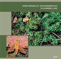 Kortlægning af natsommerfugle på Horreby Lyng