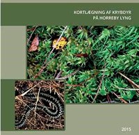 Kortlægning af krybdyr på Horreby Lyng