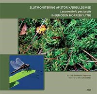 Slutmonitering af Stor Kærguldsmed